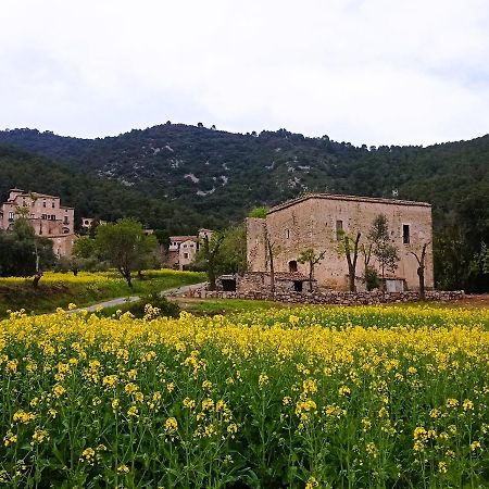 El Castell De Seguero Apartment Beuda ภายนอก รูปภาพ