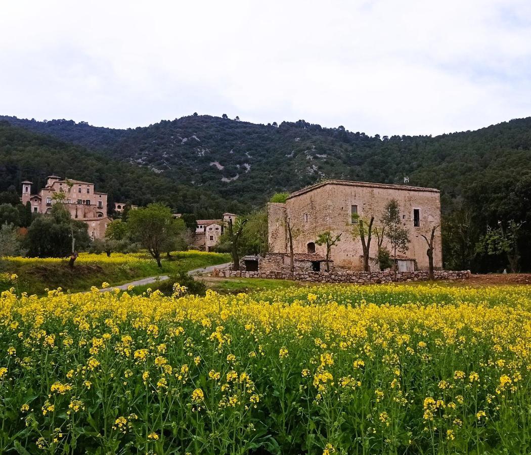 El Castell De Seguero Apartment Beuda ภายนอก รูปภาพ
