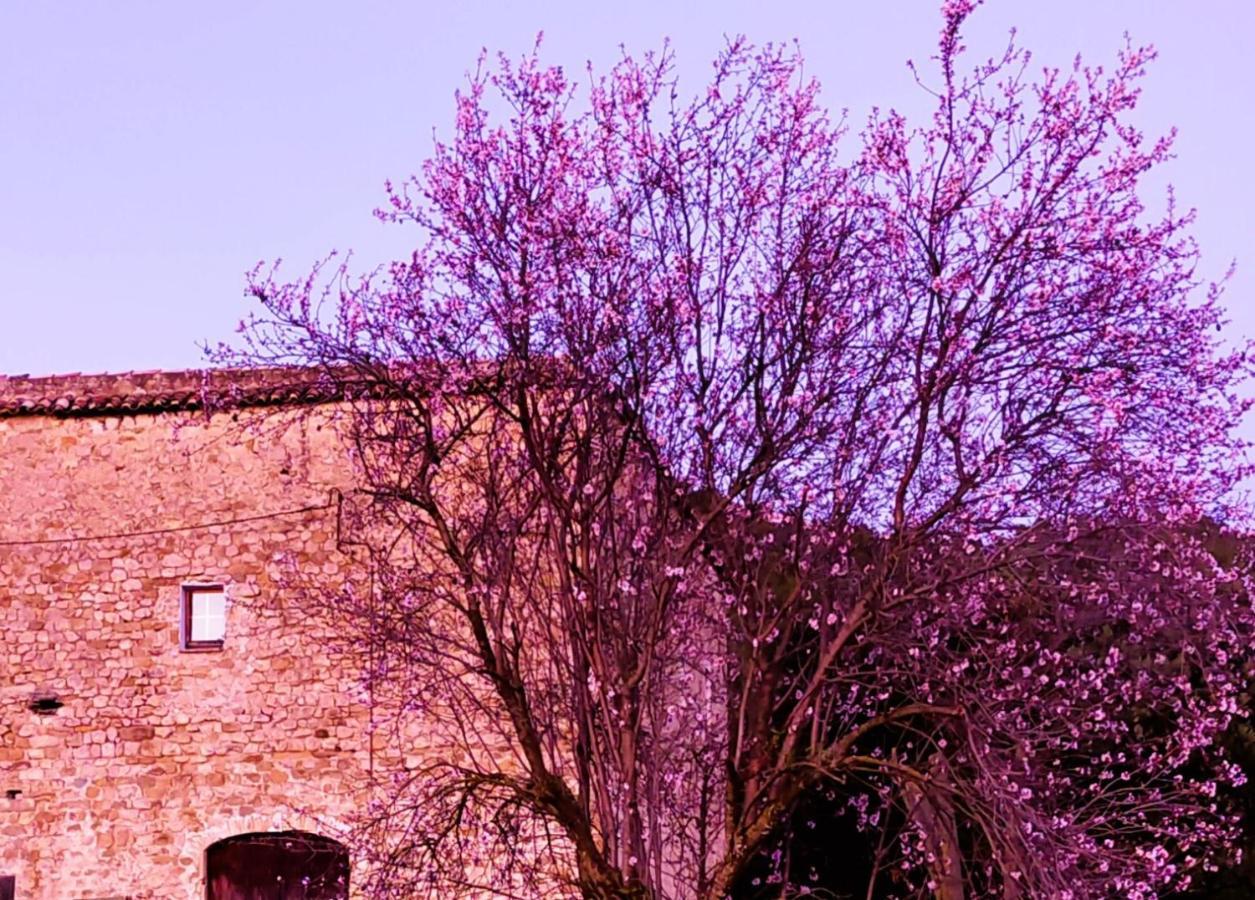 El Castell De Seguero Apartment Beuda ภายนอก รูปภาพ