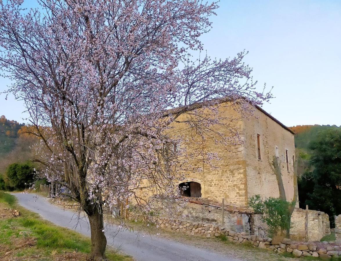 El Castell De Seguero Apartment Beuda ภายนอก รูปภาพ